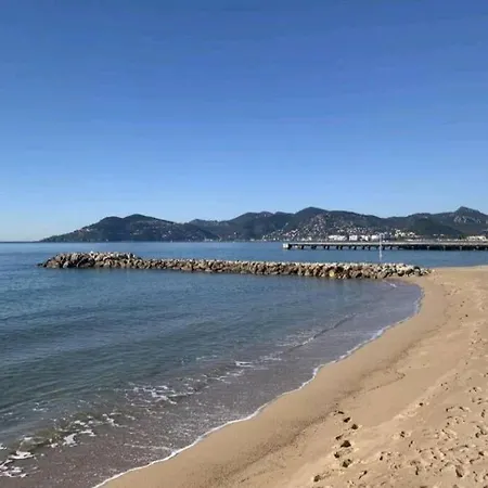 Lejlighed T2 Vue Panoramique C Cannes